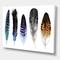Designart - Colourful Boho Feathers II - Bohemian & Eclectic Canvas Wall Art Print